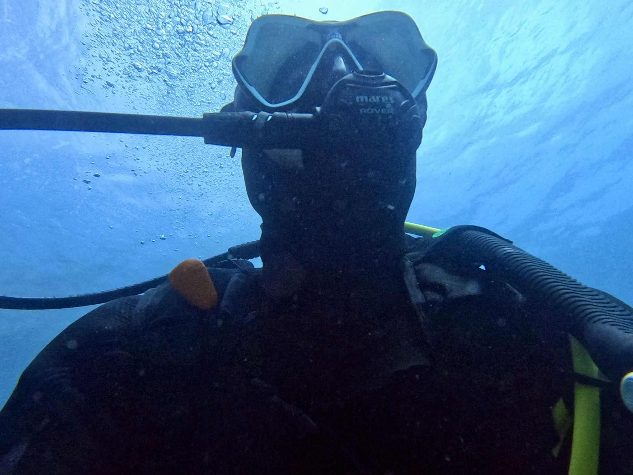 Plongée sous-marine