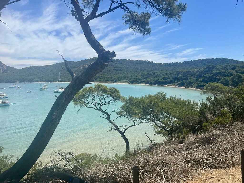 Bormes les Mimosas